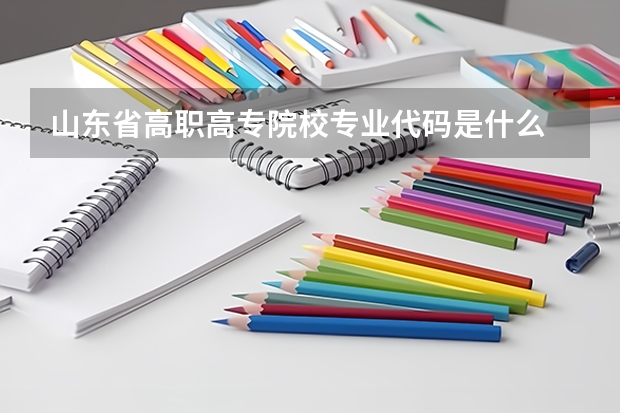 山东省高职高专院校专业代码是什么