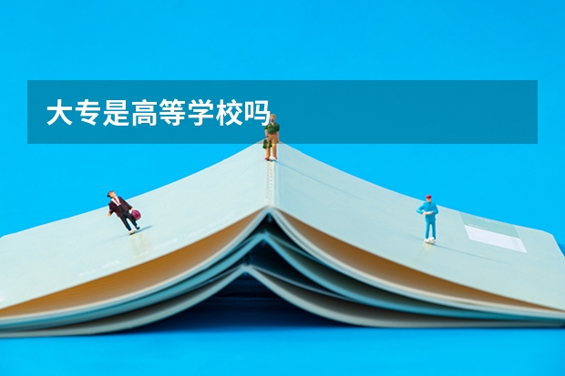 大专是高等学校吗