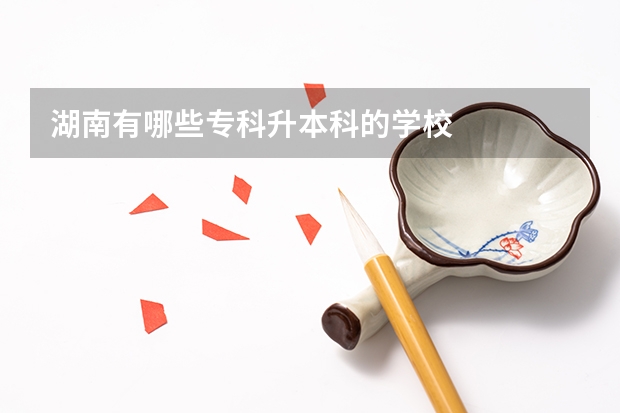 湖南有哪些专科升本科的学校