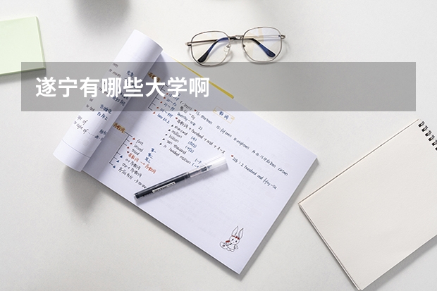 遂宁有哪些大学啊