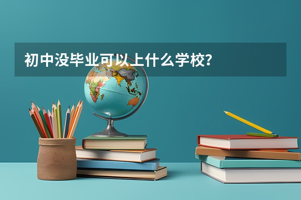 初中没毕业可以上什么学校？