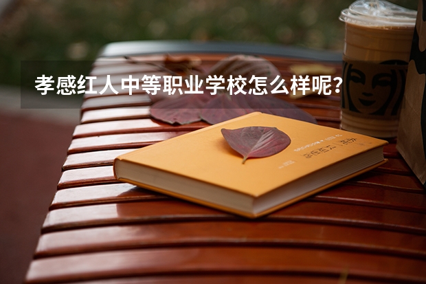 孝感红人中等职业学校怎么样呢？
