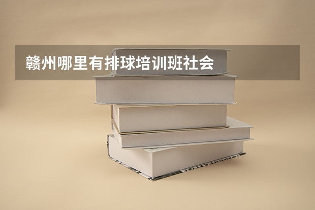 赣州哪里有排球培训班社会