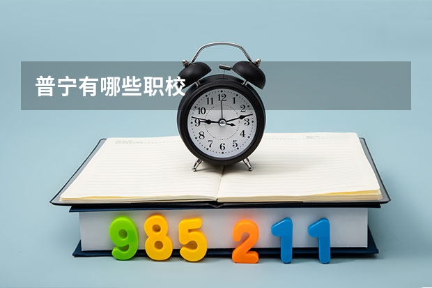 普宁有哪些职校