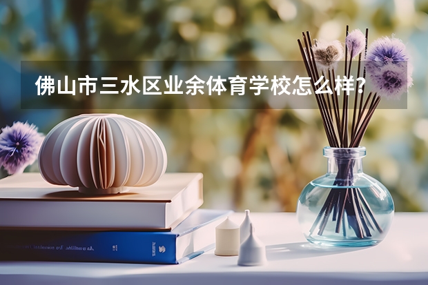 佛山市三水区业余体育学校怎么样？