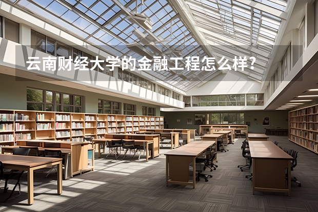 云南财经大学的金融工程怎么样?