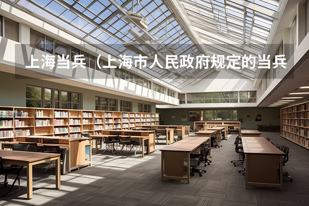 上海当兵（上海市人民政府规定的当兵优待政策）