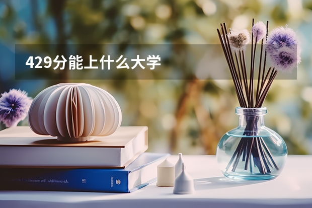 429分能上什么大学