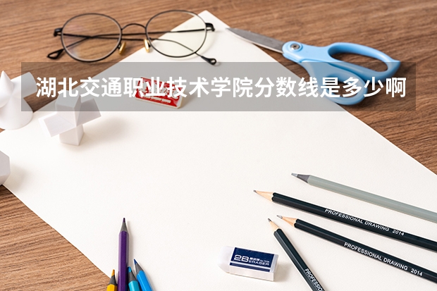 湖北交通职业技术学院分数线是多少啊？