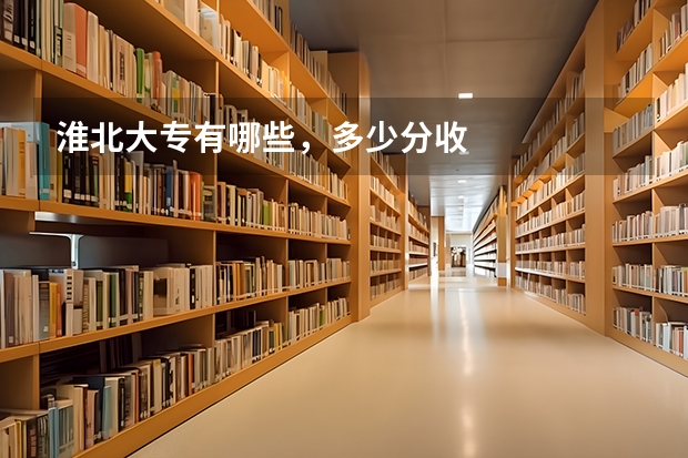 淮北大专有哪些，多少分收
