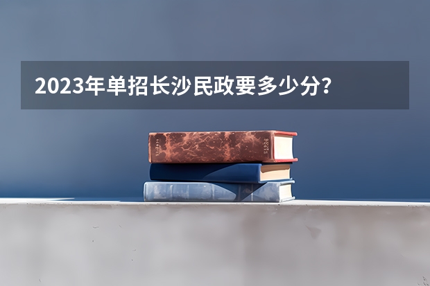 2023年单招长沙民政要多少分？