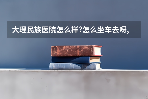 大理民族医院怎么样?怎么坐车去呀,我在文山