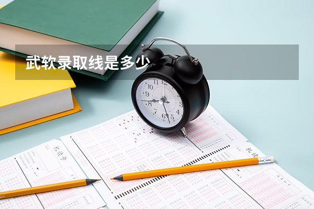 武软录取线是多少