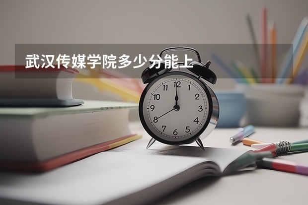 武汉传媒学院多少分能上