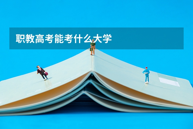 职教高考能考什么大学
