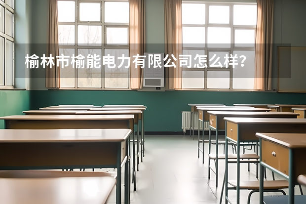 榆林市榆能电力有限公司怎么样？