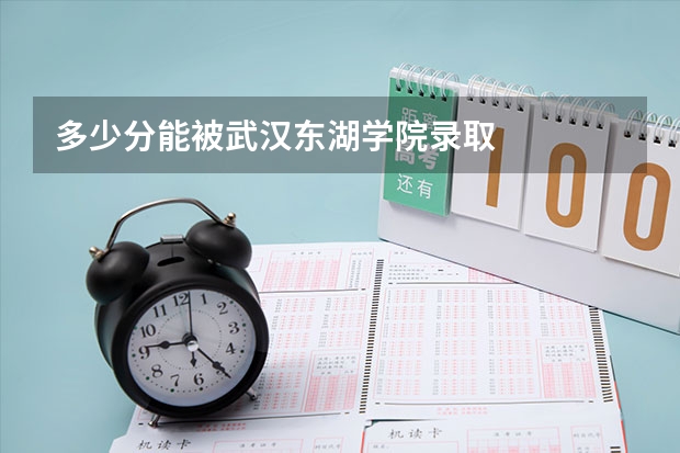 多少分能被武汉东湖学院录取