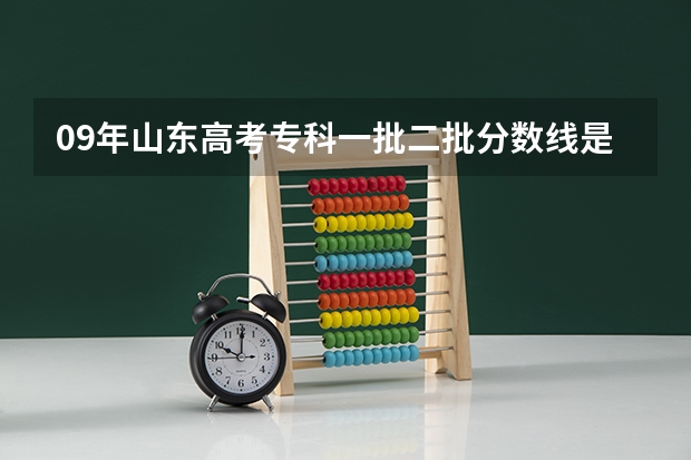 09年山东高考专科一批二批分数线是多少？