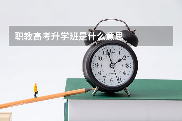 职教高考升学班是什么意思
