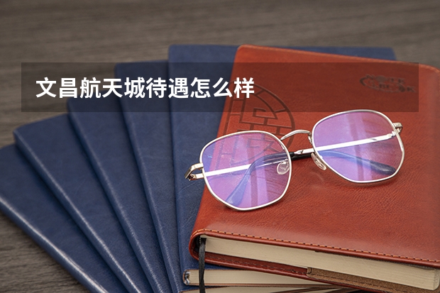 文昌航天城待遇怎么样