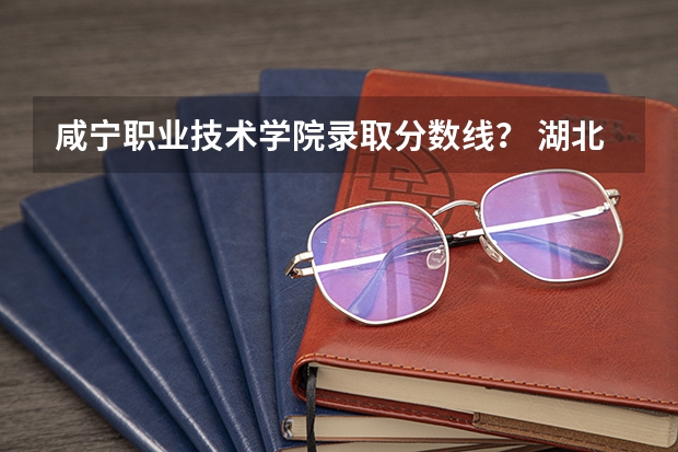 咸宁职业技术学院录取分数线？ 湖北武汉大专分数线
