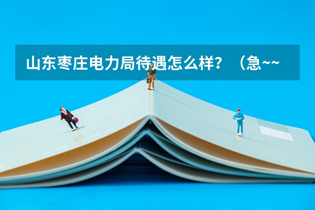 山东枣庄电力局待遇怎么样?(急~~~)