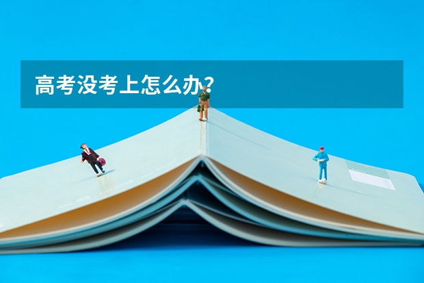 高考没考上怎么办？