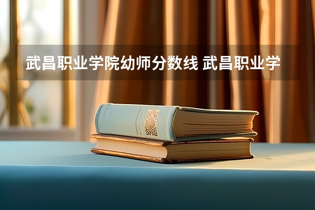 武昌职业学院幼师分数线 武昌职业学院录取分数线