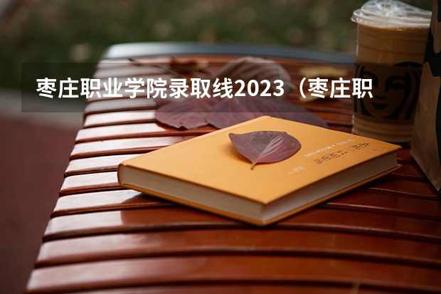 枣庄职业学院录取线2023（枣庄职业学院多大）