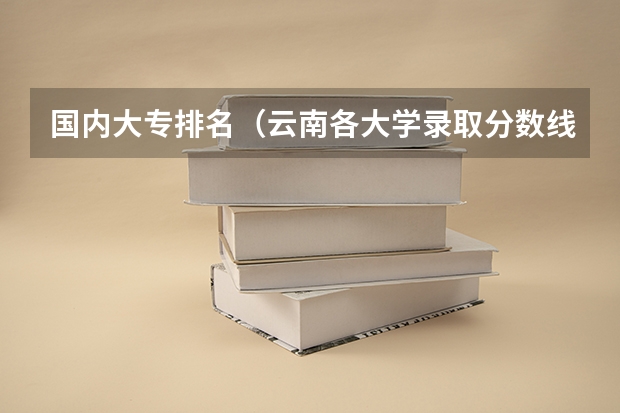 国内大专排名（云南各大学录取分数线）