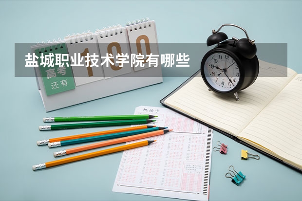 盐城职业技术学院有哪些