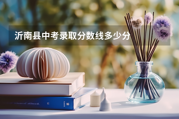 沂南县中考录取分数线多少分