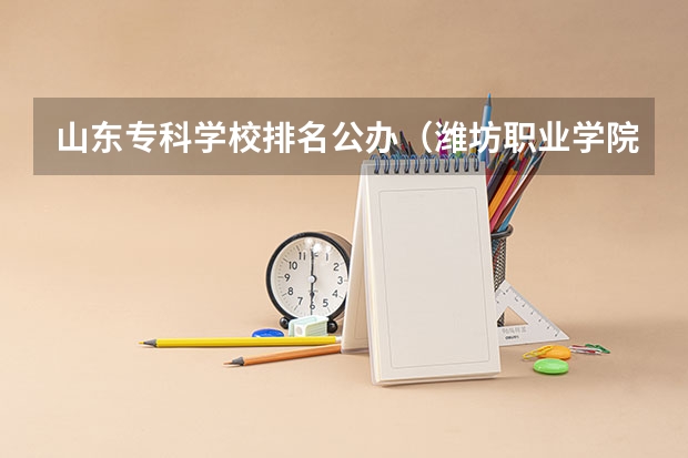 山东专科学校排名公办（潍坊职业学院录取分数线）