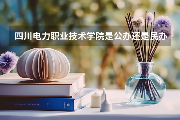 四川电力职业技术学院是公办还是民办大学？（四川电力职业技术学院的录取分数线）