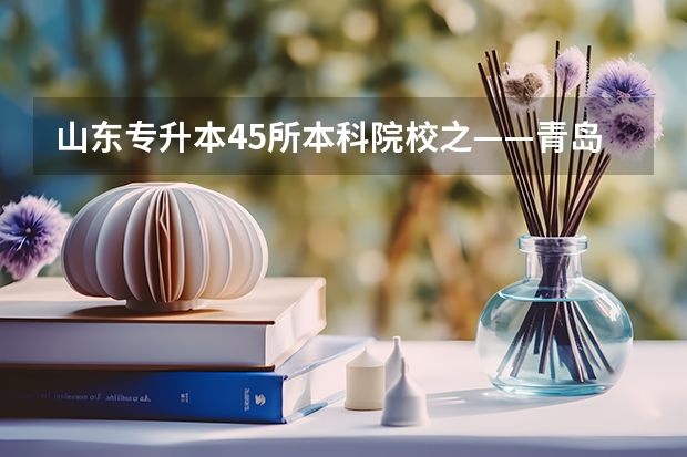 山东专升本45所本科院校之——青岛城市学院（青岛理工大学琴岛学院）