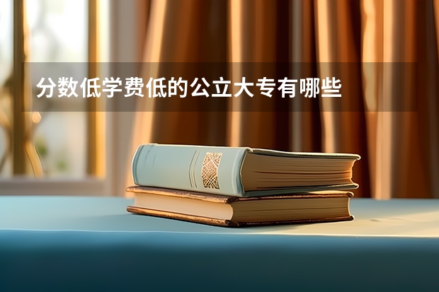 分数低学费低的公立大专有哪些