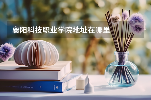 襄阳科技职业学院地址在哪里