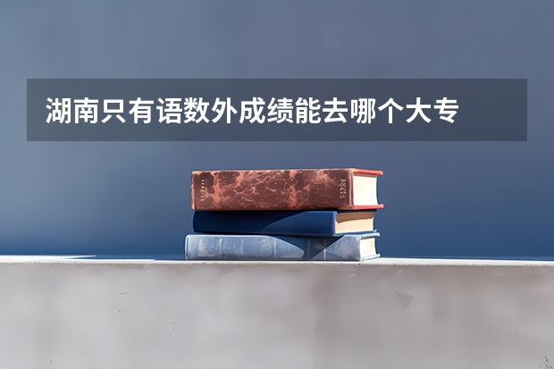 湖南只有语数外成绩能去哪个大专