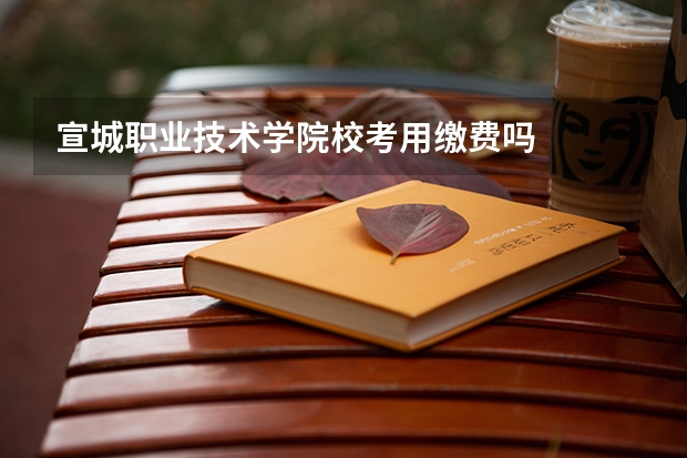 宣城职业技术学院校考用缴费吗