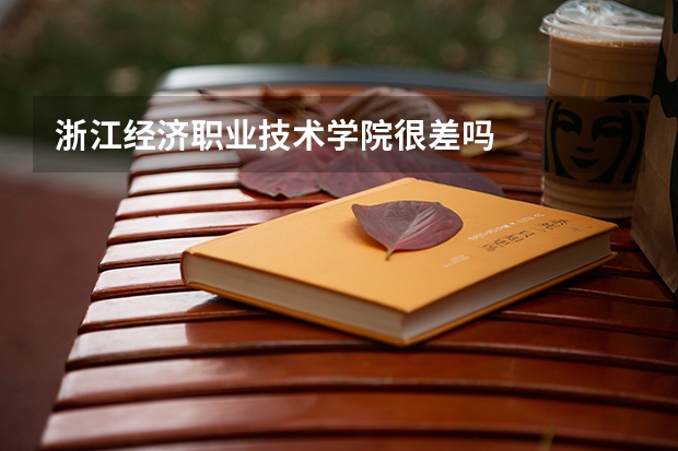 浙江经济职业技术学院很差吗