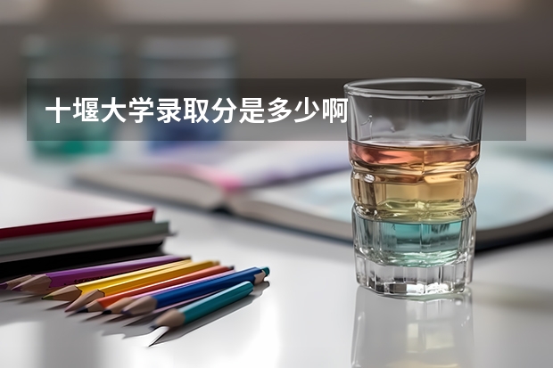 十堰大学录取分是多少啊