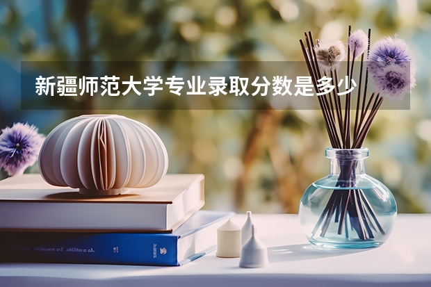 新疆师范大学专业录取分数是多少