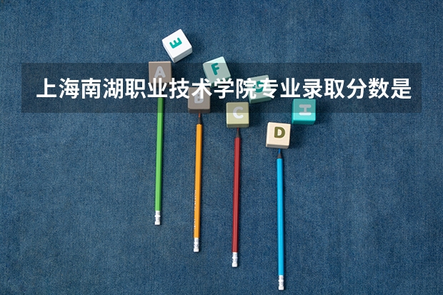 上海南湖职业技术学院专业录取分数是多少