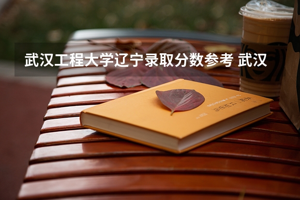 武汉工程大学辽宁录取分数参考 武汉工程大学辽宁招了多少人