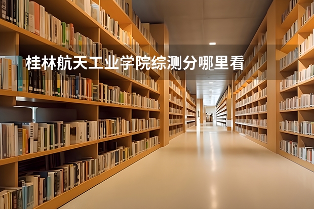 桂林航天工业学院综测分哪里看