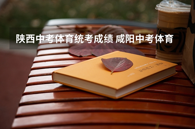 陕西中考体育统考成绩 咸阳中考体育成绩在哪查询