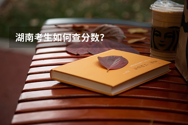 湖南考生如何查分数？
