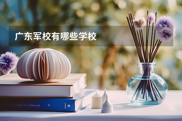 广东军校有哪些学校