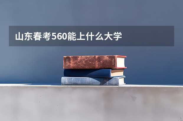 山东春考560能上什么大学