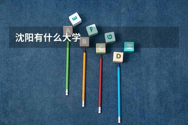 沈阳有什么大学